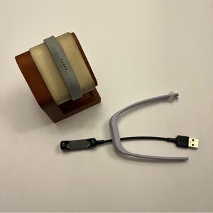 Fitbit Flex 2 (charger and extra band)